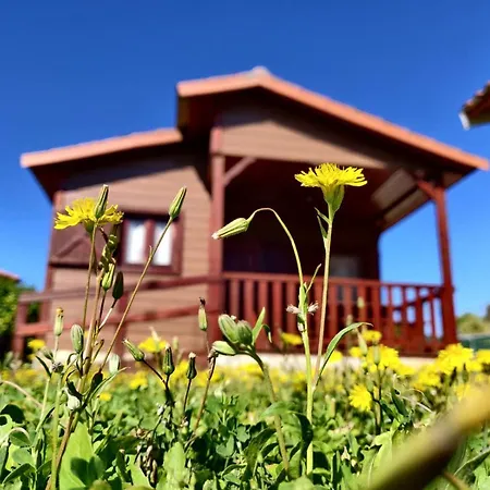 Camping Bungalow Serra De Prades Vilanova de Prades